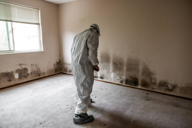 Best Mold Remediation for Specific Building Types in Fabrica, TX